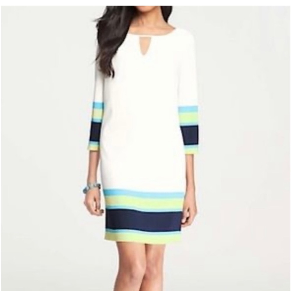 Ann Taylor knee length ivory color block 3/4 sleeves dress size 14T